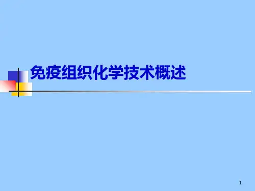 免疫组织化学技术1PPT课件