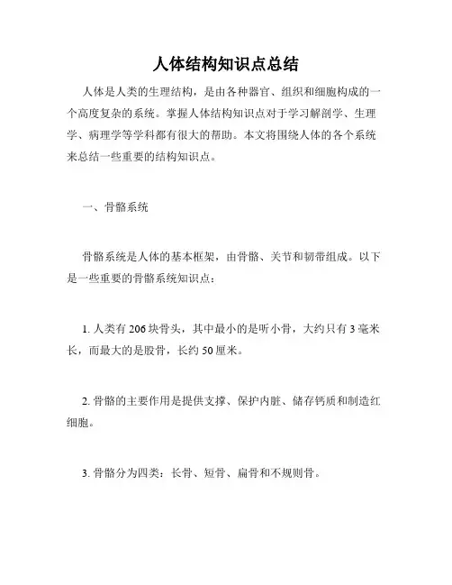 人体结构知识点总结