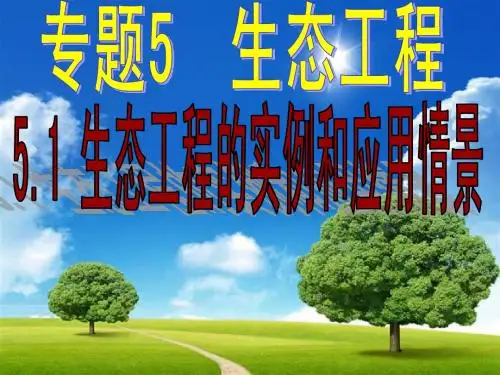 5.2生态工程的实例和发展前景