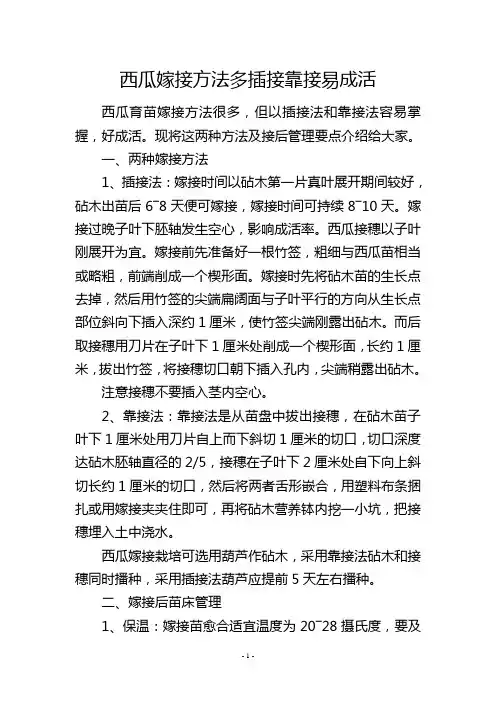 西瓜嫁接方法多插接靠接易成活