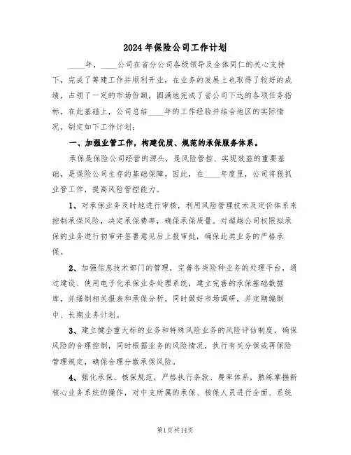 2024年保险公司工作计划(五篇)