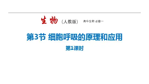 人教版高中生物必修一《细胞呼吸的原理和应用》细胞的能量供应和利用PPT精品课件