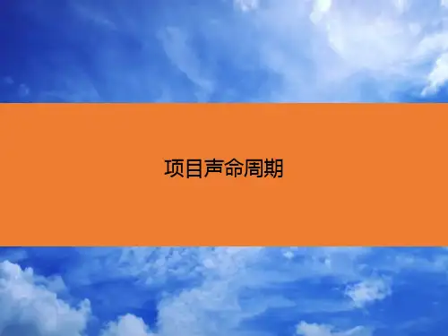 项目生命周期
