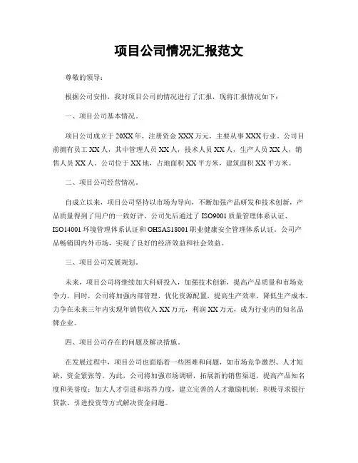 项目公司情况汇报范文