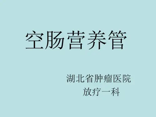 空肠营养管