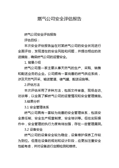 燃气公司安全评估报告