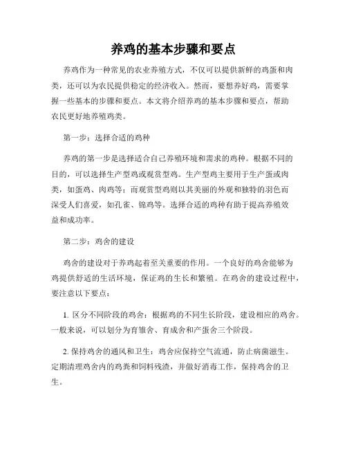 养鸡的基本步骤和要点