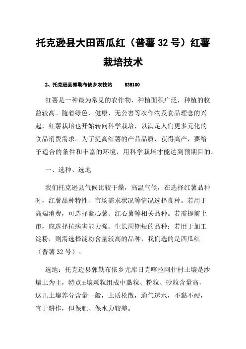 托克逊县大田西瓜红（普薯32号）红薯栽培技术