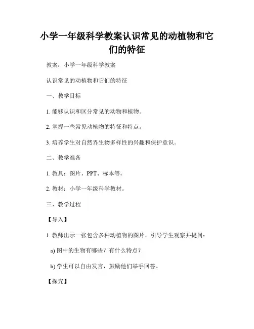 小学一年级科学教案认识常见的动植物和它们的特征