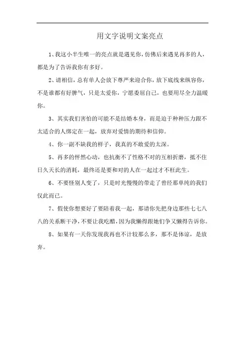 用文字说明文案亮点