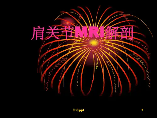 肩关节MRI解剖88327ppt课件