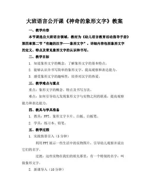大班语言公开课《神奇的象形文字》教案