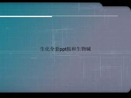 生化全套ppt胺和生物碱专选课件