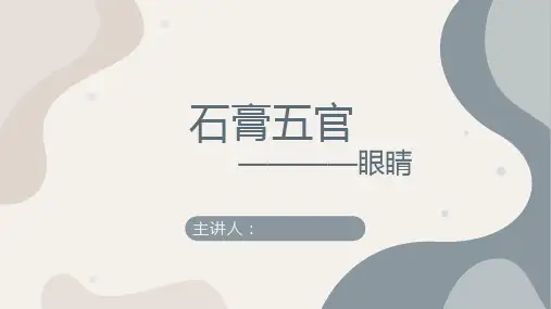 素描——石膏五官(眼)——美术教案PPT课件