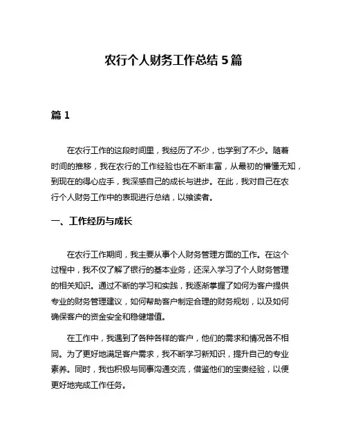 农行个人财务工作总结5篇