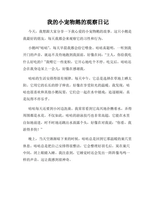 小学三年级作文我的小宠物鹅的观察日记