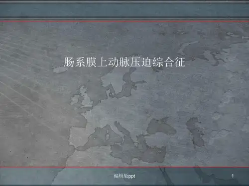 肠系综合征膜上动脉压迫综合征医学PPT