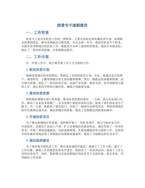 扶贫专干述职报告