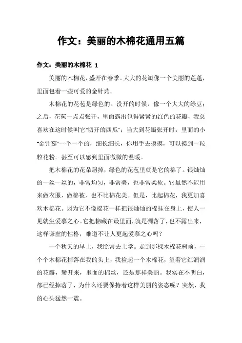 作文：美丽的木棉花通用五篇