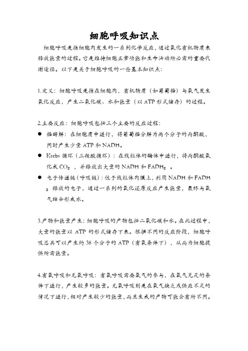 细胞呼吸知识点