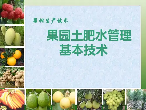 果园土肥水管理基本技术