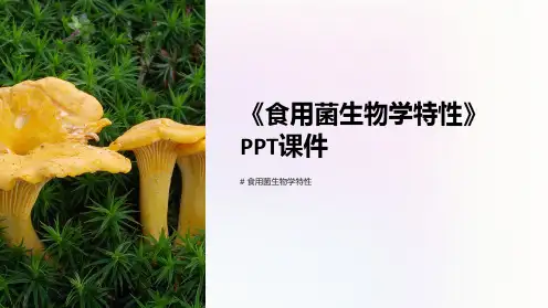 《食用菌生物学特性》课件