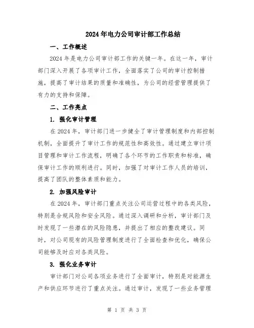 2024年电力公司审计部工作总结