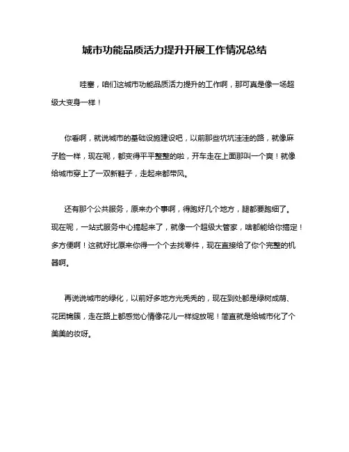 城市功能品质活力提升开展工作情况总结