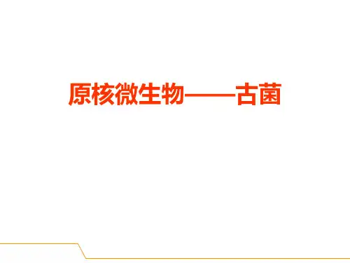 原核微生物 (10)