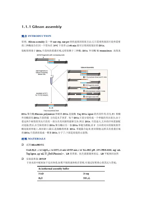 无缝克隆同源重组克隆