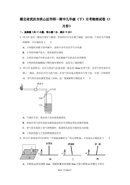 湖北省武汉市洪山区华师一附中九年级(下)月考物理试卷(3月份)