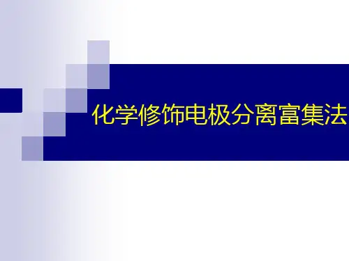 化学修饰电极
