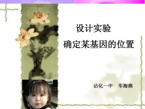 遗传实验设计专题