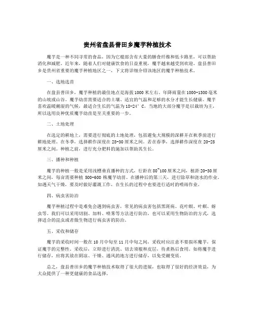 贵州省盘县普田乡魔芋种植技术