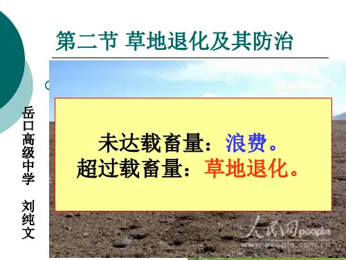 草地退化及其防治 PPT课件 人教课标版