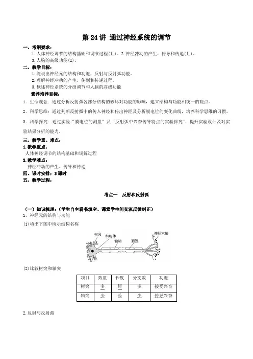 (高三生物核心素养教案)第八单元 第24讲 通过神经系统的调节