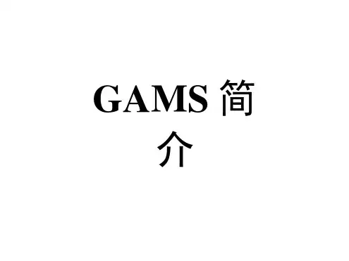 GAMS_软件介绍.docx