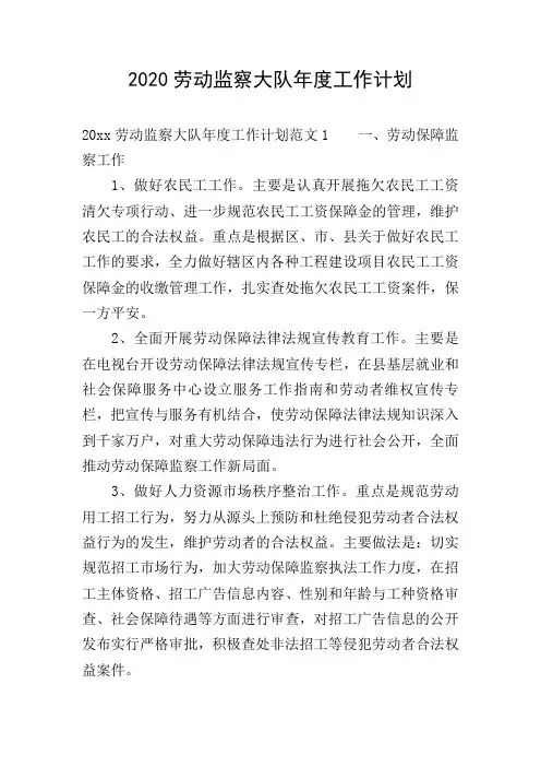 2020劳动监察大队年度工作计划