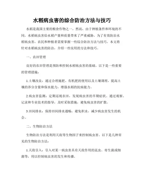水稻病虫害的综合防治方法与技巧