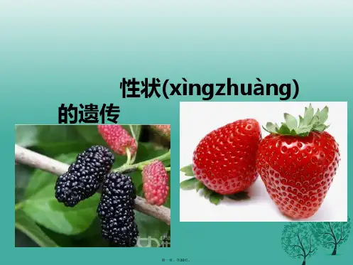 八年级生物上册第四章第二节《性状的遗传》课件(新版)济南版