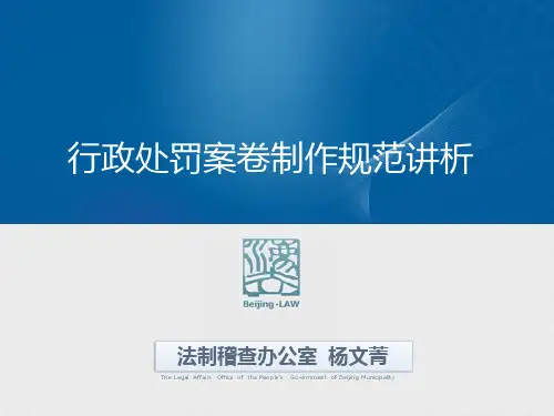 行政处罚案卷制作规范杨文菁