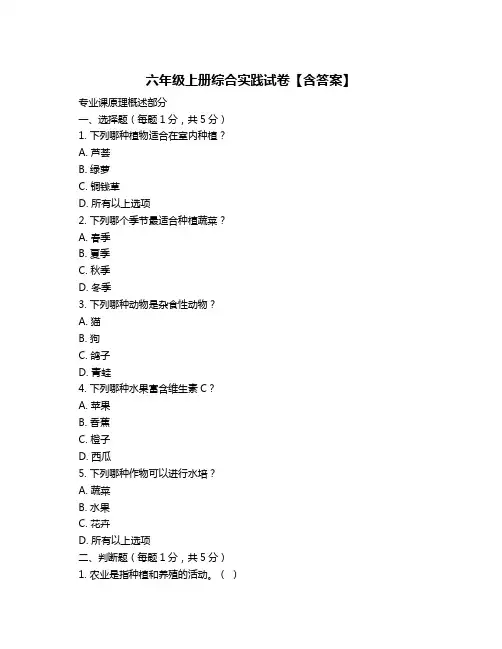六年级上册综合实践试卷【含答案】