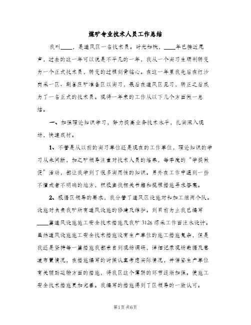 煤矿专业技术人员工作总结（2篇）
