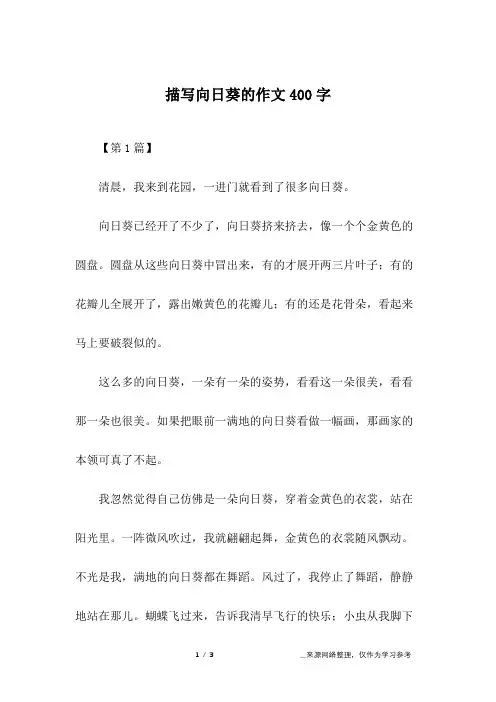 描写向日葵的作文400字