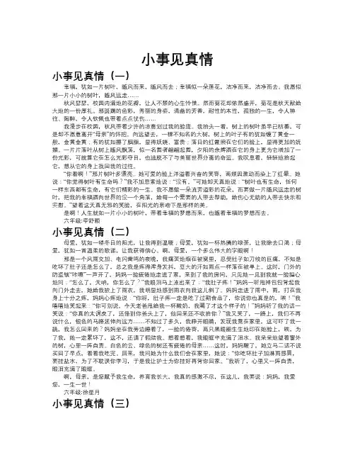 小事见真情作文共九篇