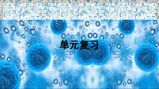 2024年秋新北师大版7年级上册生物课件 第2单元 生物体的结构 单元复习