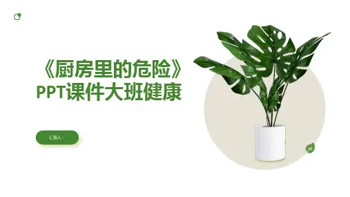 《厨房里的危险》PPT课件大班健康