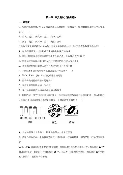 第一章 走进细胞(单元检测)高一生物期末复习(提升练)(人教版2019必修1)
