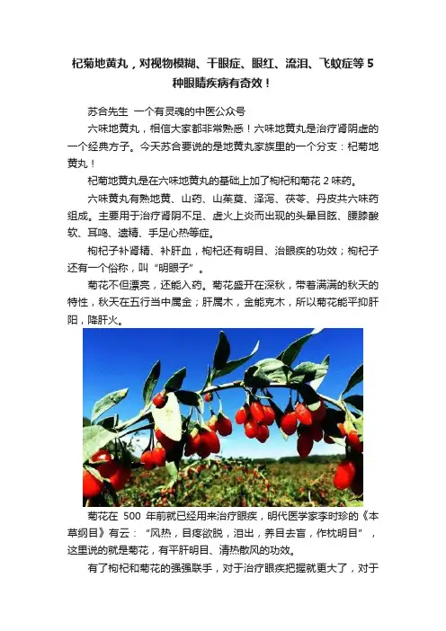 杞菊地黄丸，对视物模糊、干眼症、眼红、流泪、飞蚊症等5种眼睛疾病有奇效！