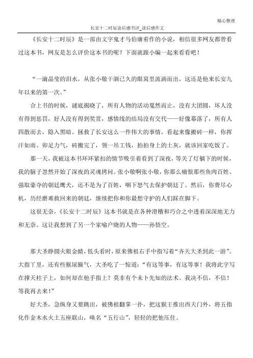 长安十二时辰读后感书评_读后感作文